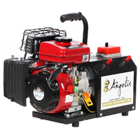 Agrieuro Premium Angelis - Tragbarer Stromerzeuger 12/22V