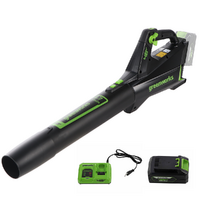 Greenworks GD48AB - Axial-Akku-Laubbl&auml;ser - 48V/4Ah