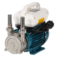 Tellarini ALM 20 L-SR &ndash; Elektrische Umf&uuml;llpumpe aus Edelstahl &ndash; 230 V &ndash; Gerade Edelstahlanschl&uuml;sse