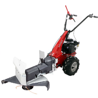 Eurosystems Minieffe M150 - Benzin-Fadenmäher - B&S 625 EXi Motor