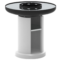 Palazzetti Apollo 110 - Gemauerter Holz- und Kohlegrill