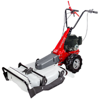 Eurosystems Minieffe - Benzin Schlegelmulcher - Sichel Mulchm&auml;her PRO - Loncin 196 OHV