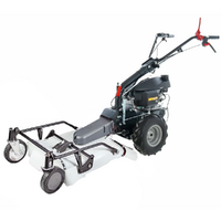 Eurosystems P55 - Benzin-Schlegelmulcher - Wiesenmulcher PRO V2 - HONDA GCVX 170