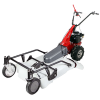 Eurosystems Minieffe M150 - Benzin-Mulcher - Allm&auml;her PRO V2 - B&amp;S 625 EXi