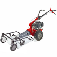 Eurosystems P55 - Benzin-Hochgrasm&auml;her - Sichelm&auml;her PRO V2 - Loncin 196 ccm