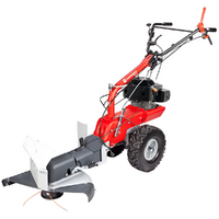 Eurosystems P70 EVO - Benzin Fadenmäher mit Radantrieb - Loncin 224 OHV