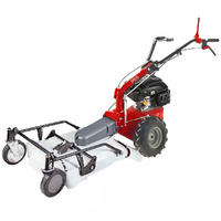 Eurosystems P55 &ndash; Benzin-Schlegelmulcher - Wiesenmulcher PRO V2 &ndash; RV200