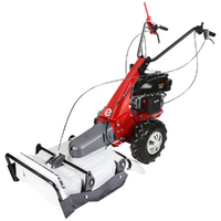 Eurosystems Minieffe RM - Benzin-Schlegelmulcher - Wiesenmulcher PRO - Rato RV200 Motor