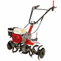 Benassi BL105H - Benzin-Motorhacke 5,5 PS - Honda GX160 Motor