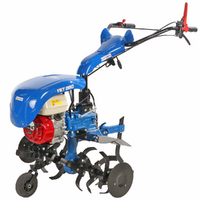 EuroMech YET 280 &ndash; Benzin-Motorhacke &ndash; 6,5 PS &ndash; Honda GX200