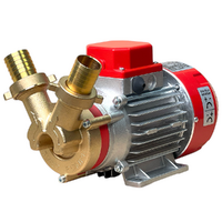 Rover Marina 30 &ndash; Elektrische Umf&uuml;llpumpe aus Bronze &ndash; 12 V