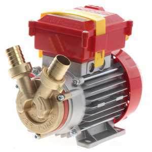 Elektrische Umf&uuml;llpumpe Rover 25 CE, einphasiger Motor 0,8 PS, Elektropumpe